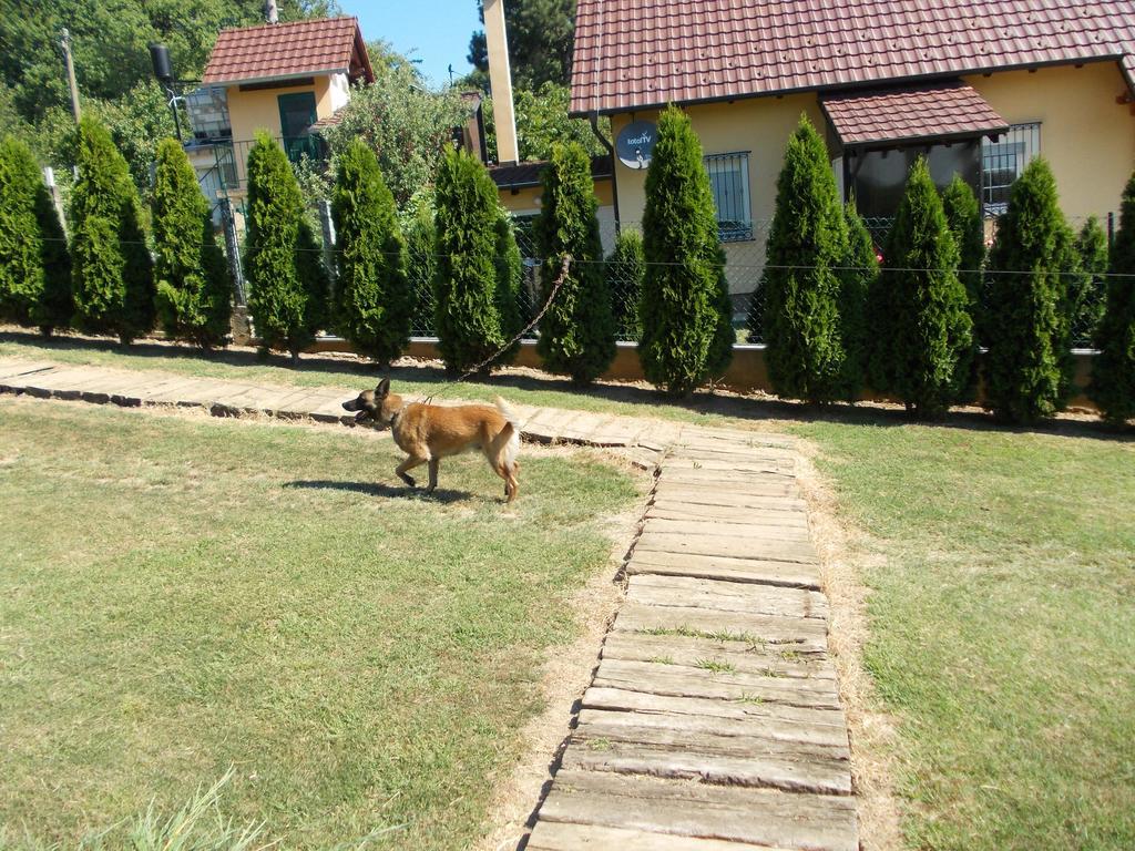 Kuca Za Odmor "Karalic" Bed and Breakfast Ležimir Eksteriør billede